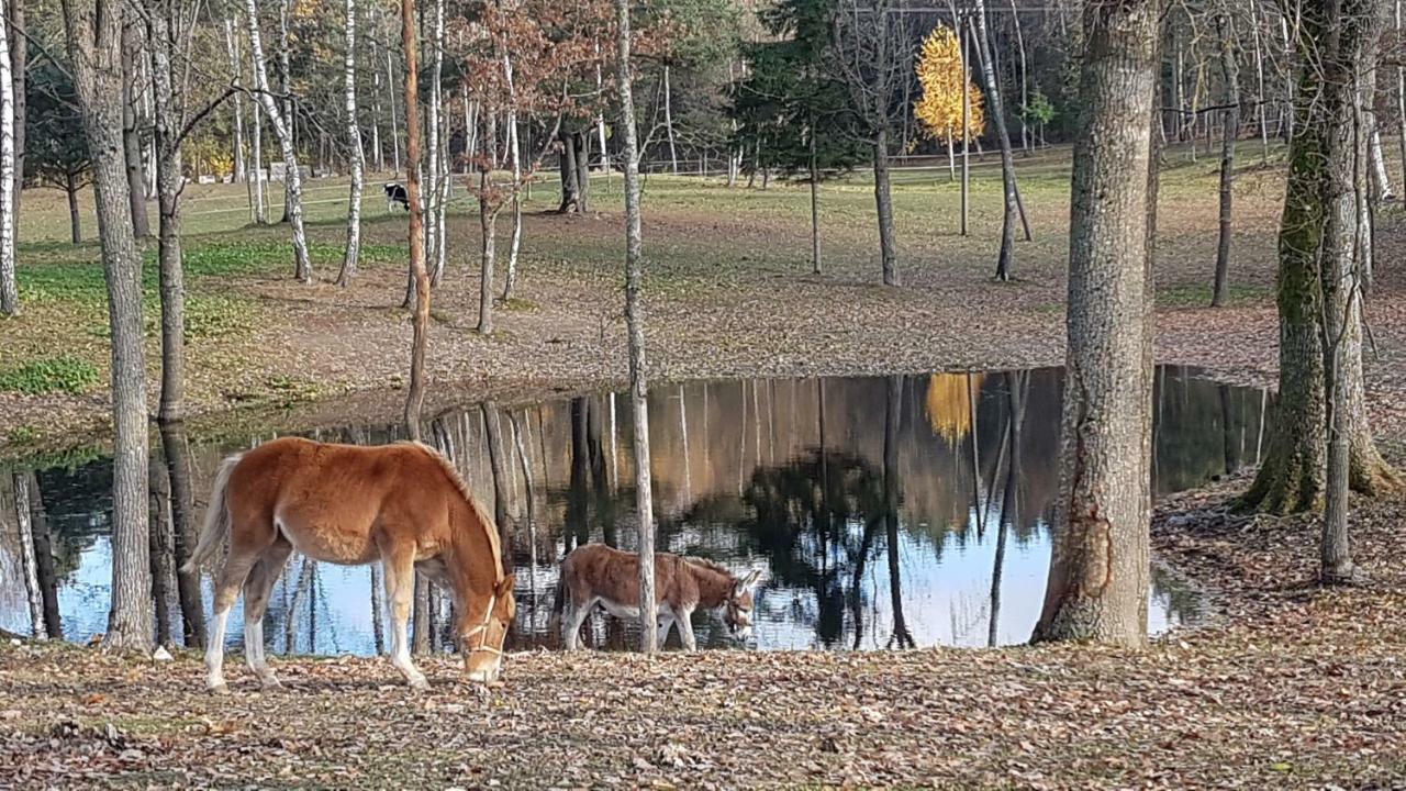 Villa Cheval Aukštadvaris Екстериор снимка
