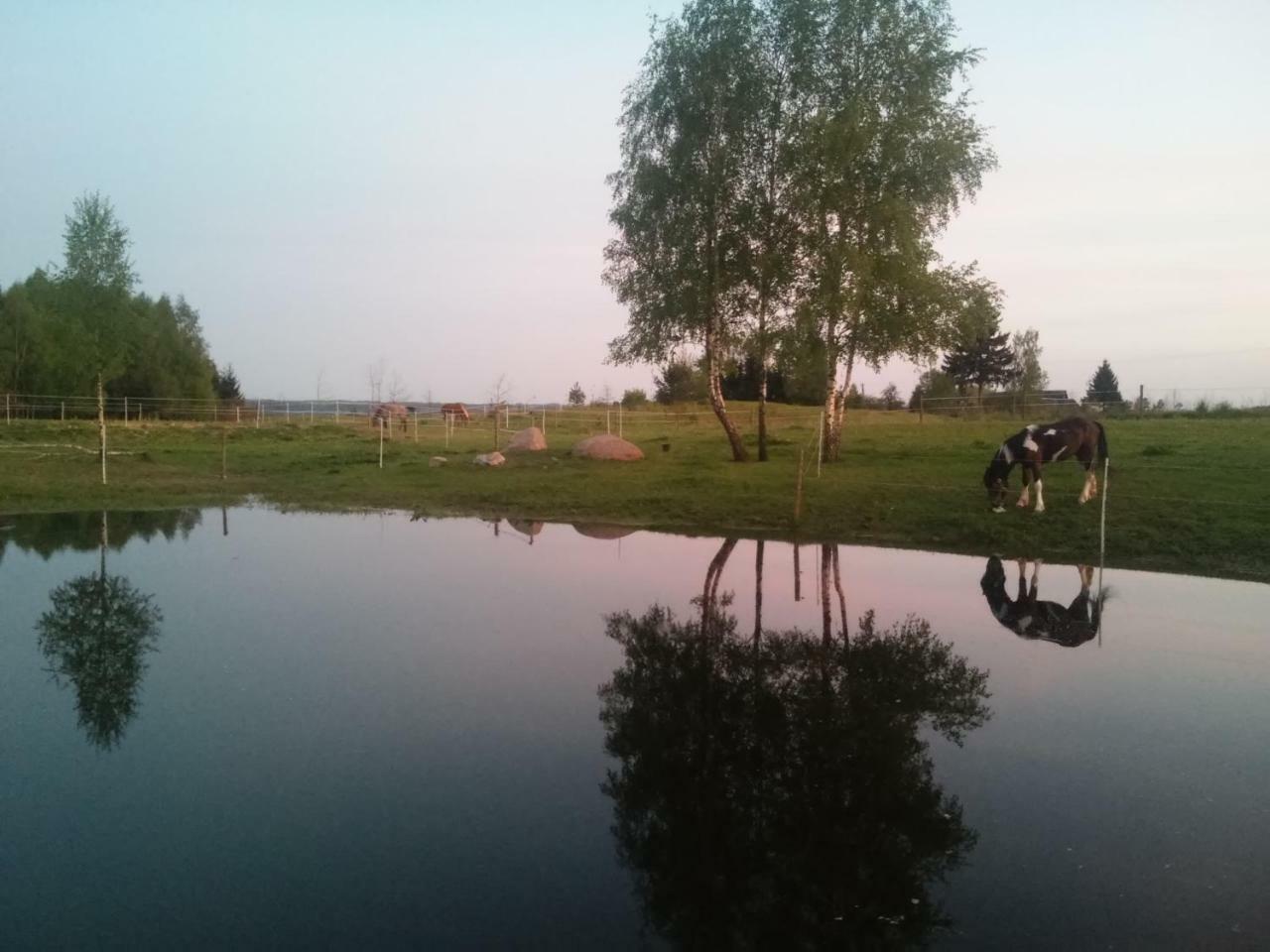 Villa Cheval Aukštadvaris Екстериор снимка