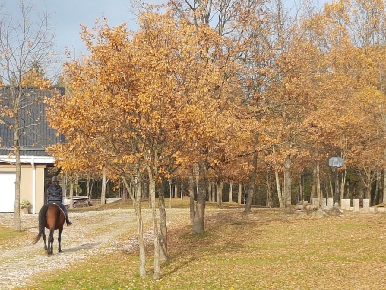 Villa Cheval Aukštadvaris Екстериор снимка